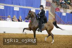 15R12_03885 proof