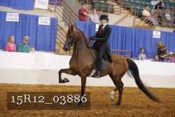 15R12_03886 proof