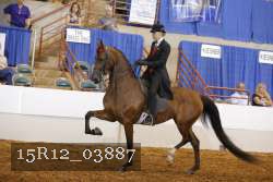 15R12_03887 proof