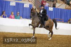 15R12_03892 proof