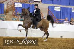15R12_03893 proof