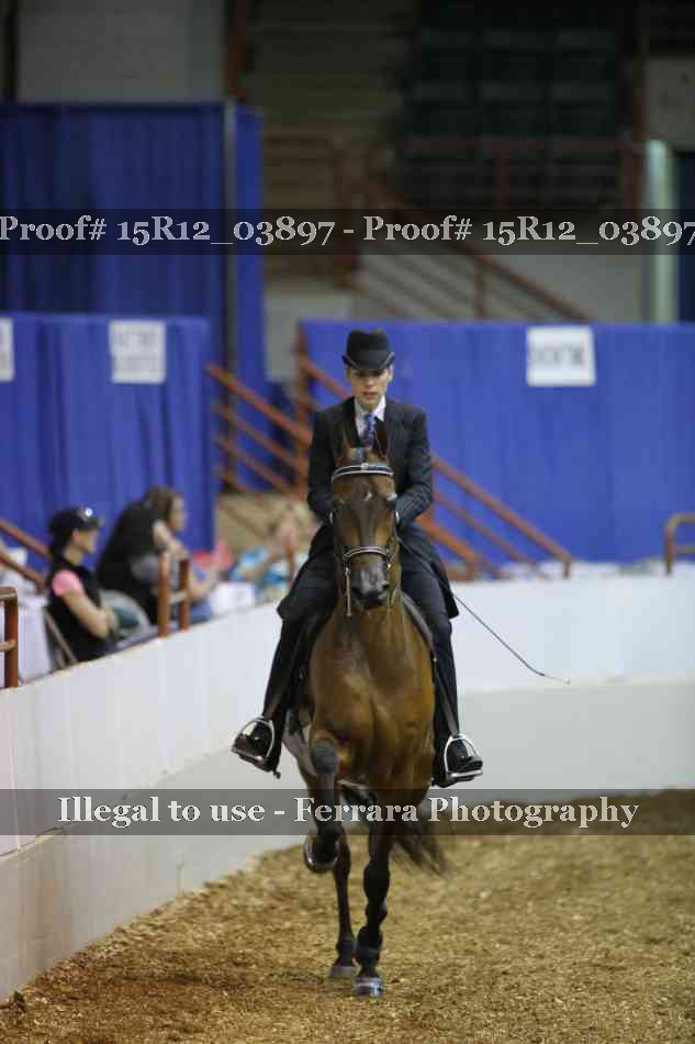Proof 15R12_03897