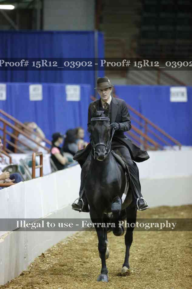 Proof 15R12_03902
