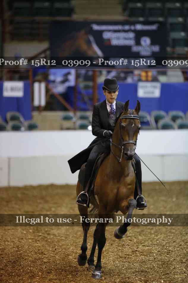 Proof 15R12_03909
