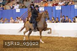 15R12_03922 proof