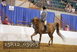 15R12_03963 proof