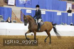 15R12_03972 proof