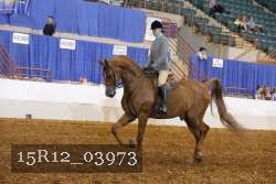 15R12_03973 proof