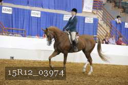 15R12_03974 proof
