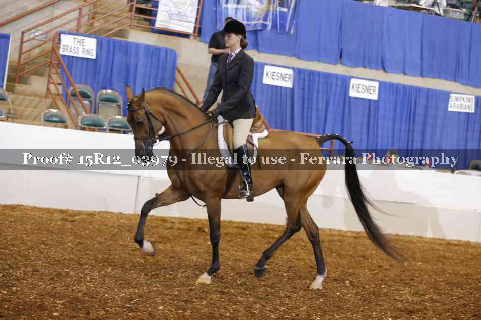 Proof 15R12_03979