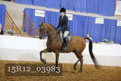 15R12_03983 proof
