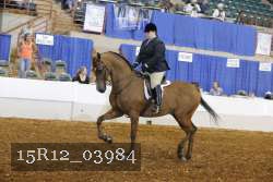 15R12_03984 proof