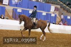 15R12_03986 proof