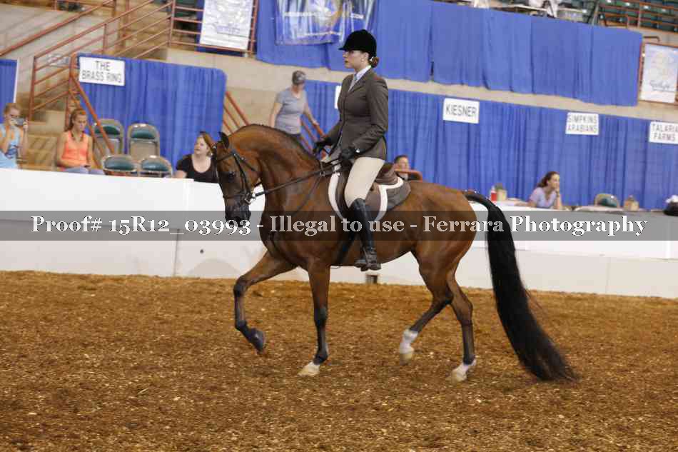 Proof 15R12_03993