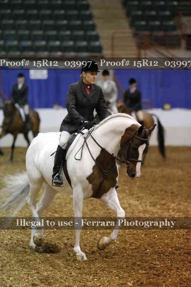Proof 15R12_03997