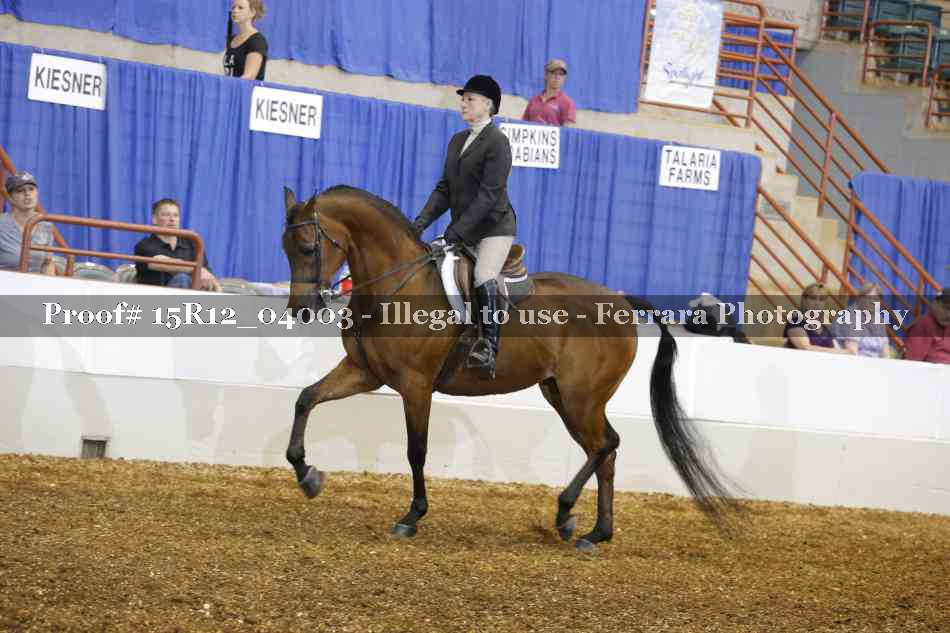 Proof 15R12_04003