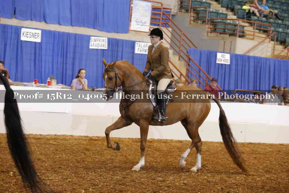 Proof 15R12_04005
