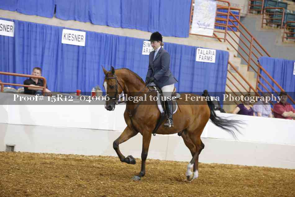 Proof 15R12_04006