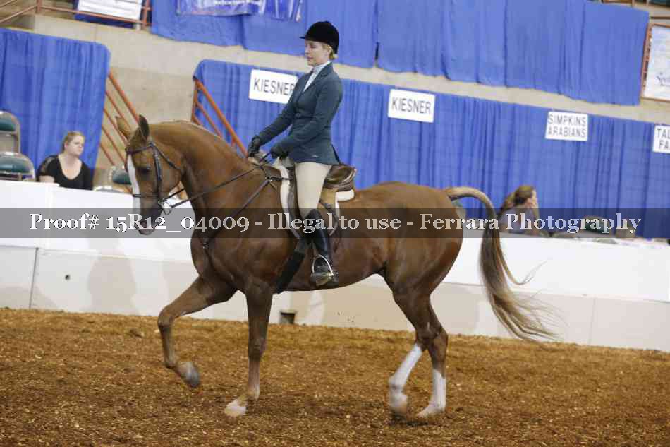 Proof 15R12_04009