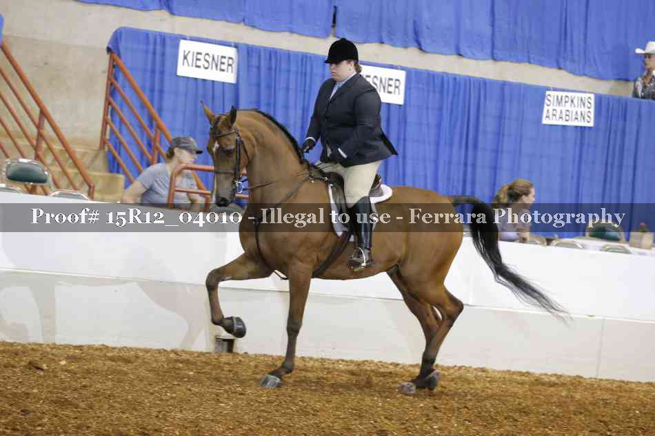 Proof 15R12_04010