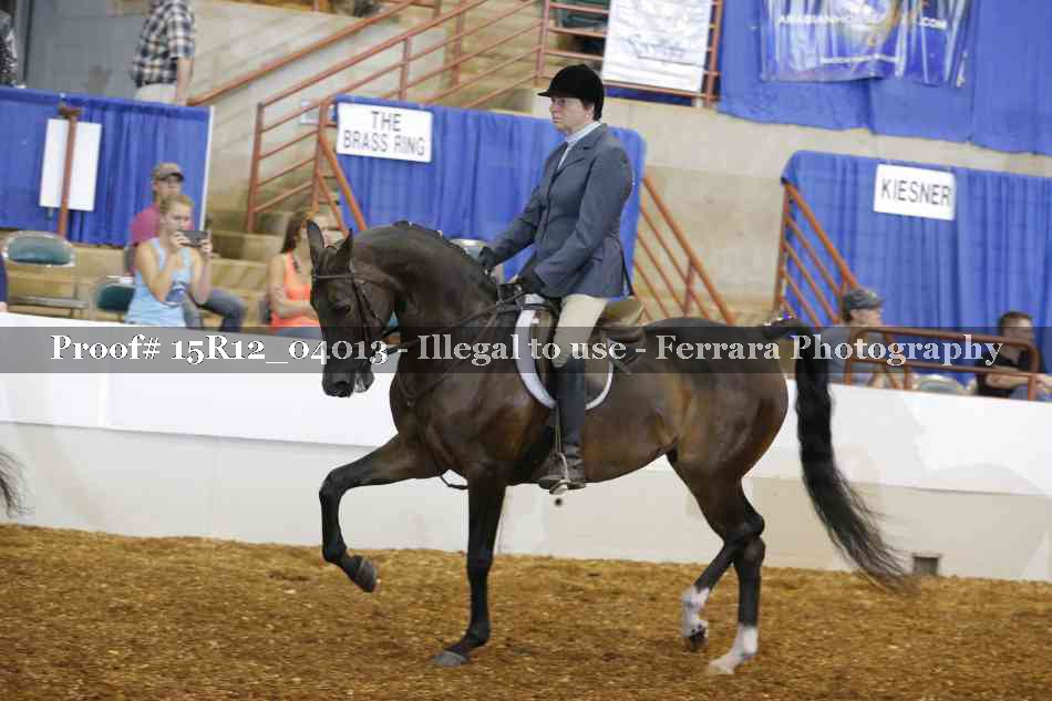 Proof 15R12_04013