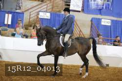15R12_04013 proof