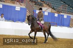 15R12_04014 proof