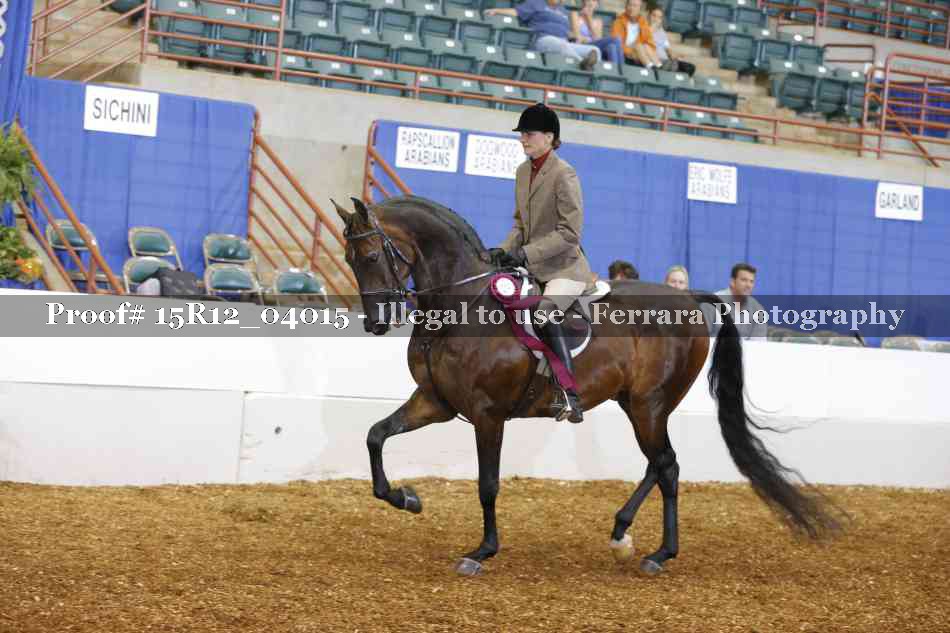 Proof 15R12_04015