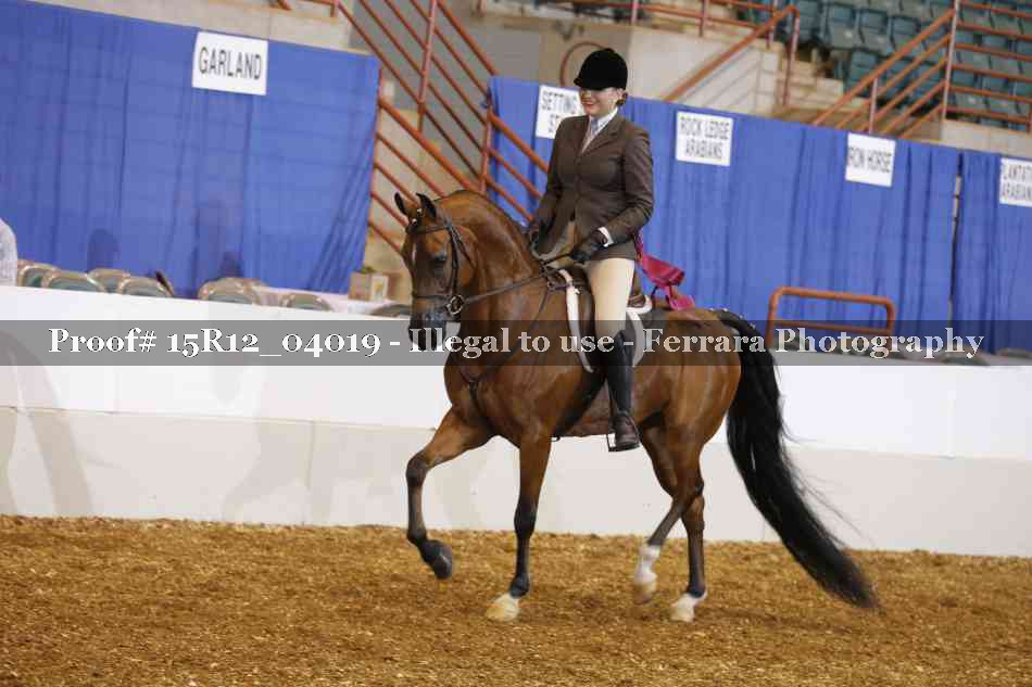 Proof 15R12_04019