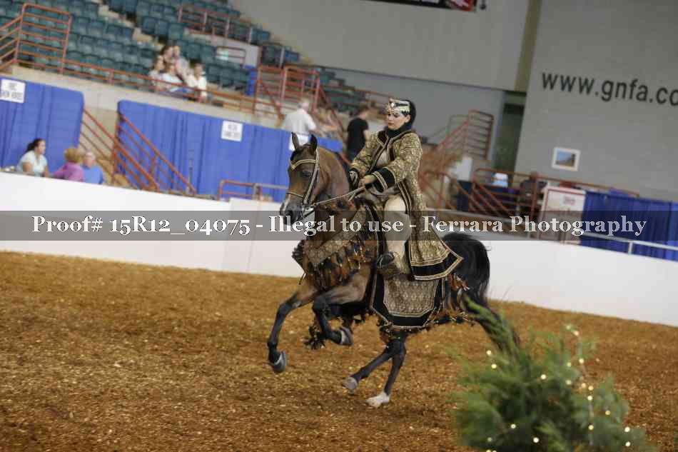 Proof 15R12_04075