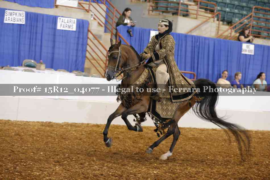 Proof 15R12_04077