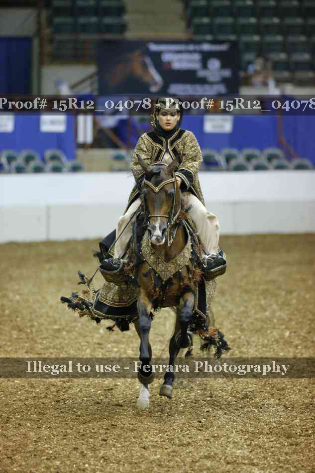 Proof 15R12_04078