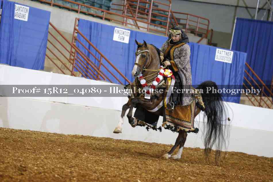 Proof 15R12_04089