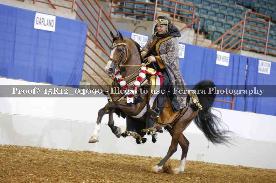 Proof 15R12_04090