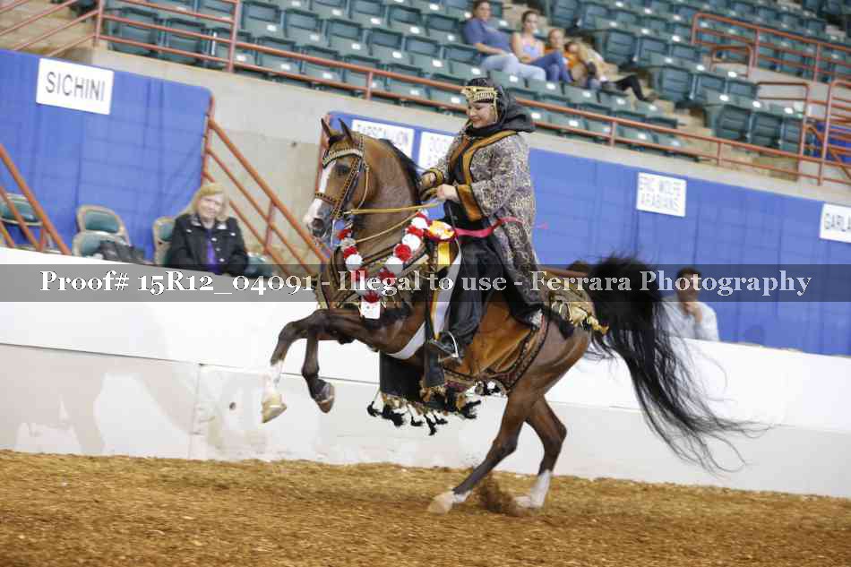 Proof 15R12_04091