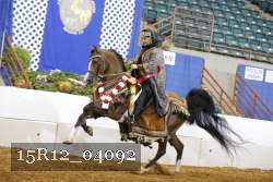 15R12_04092 proof
