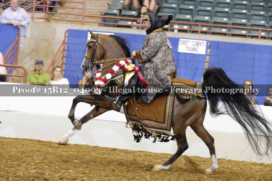 Proof 15R12_04093