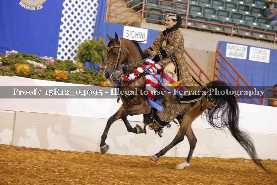 Proof 15R12_04095