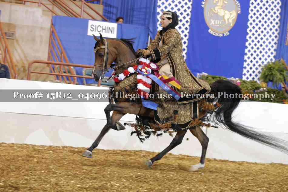 Proof 15R12_04096