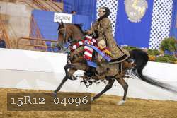 15R12_04096 proof