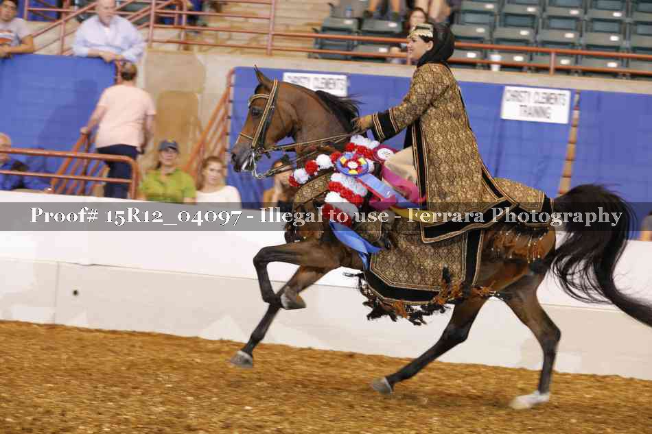 Proof 15R12_04097