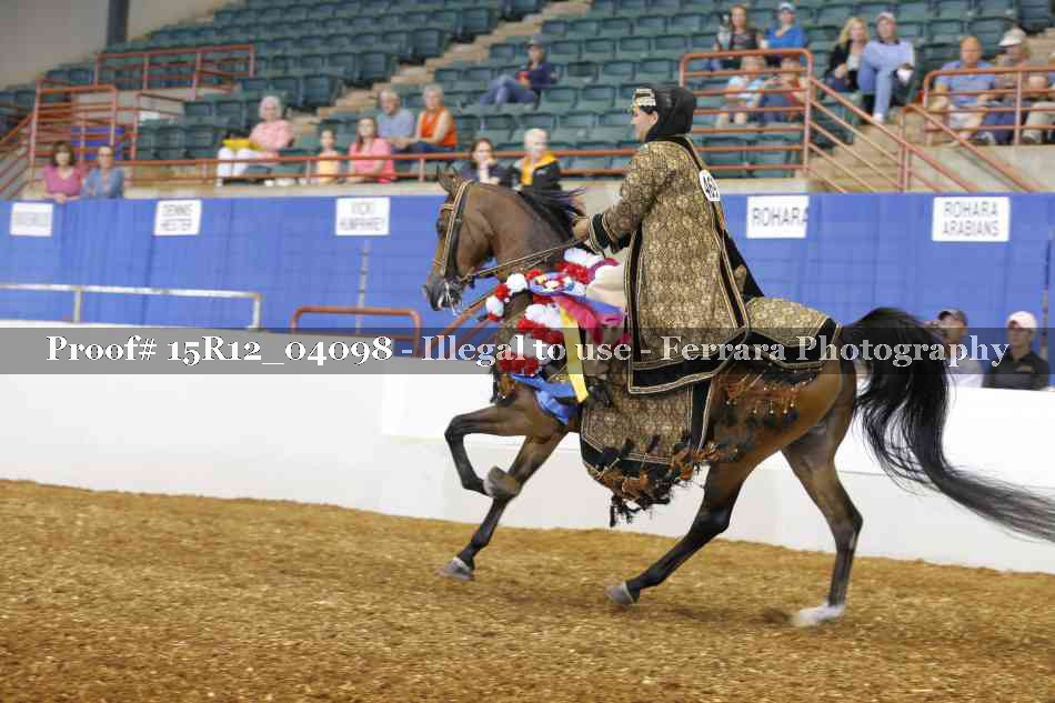 Proof 15R12_04098