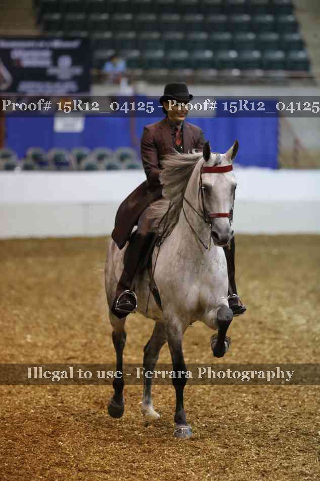 Proof 15R12_04125
