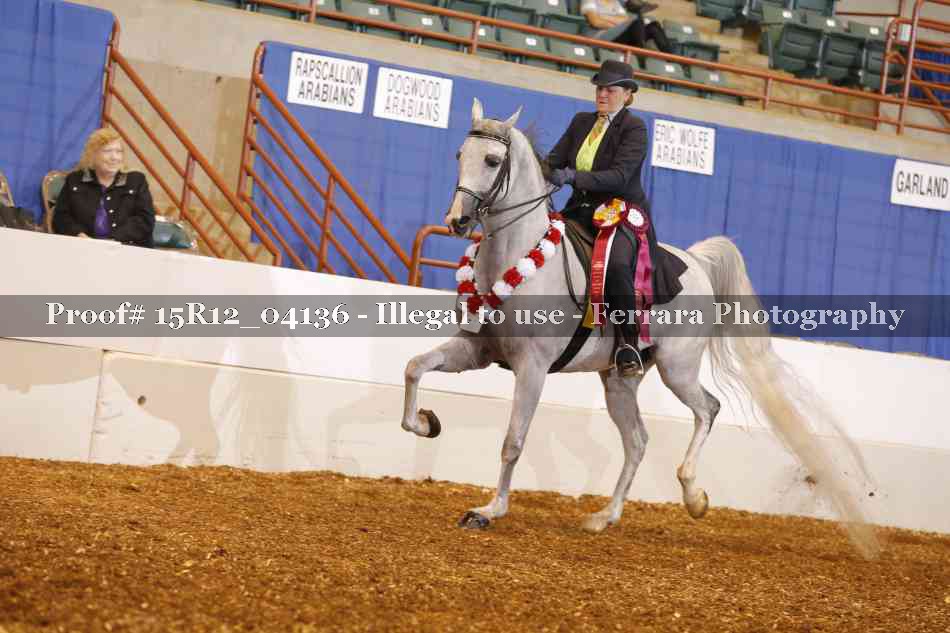 Proof 15R12_04136