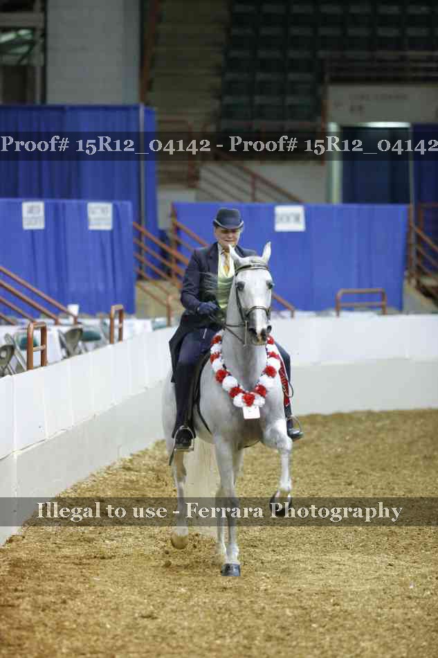 Proof 15R12_04142