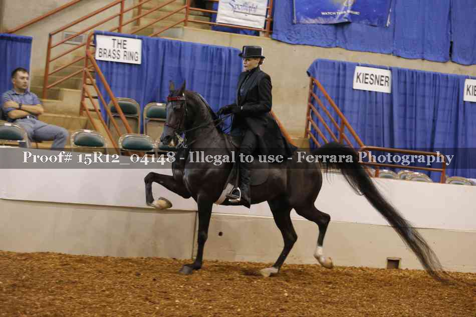 Proof 15R12_04148