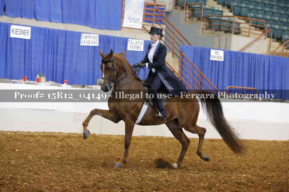 Proof 15R12_04149
