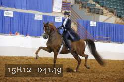 15R12_04149 proof