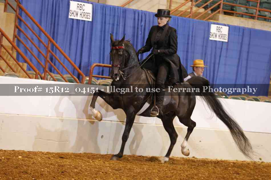 Proof 15R12_04151