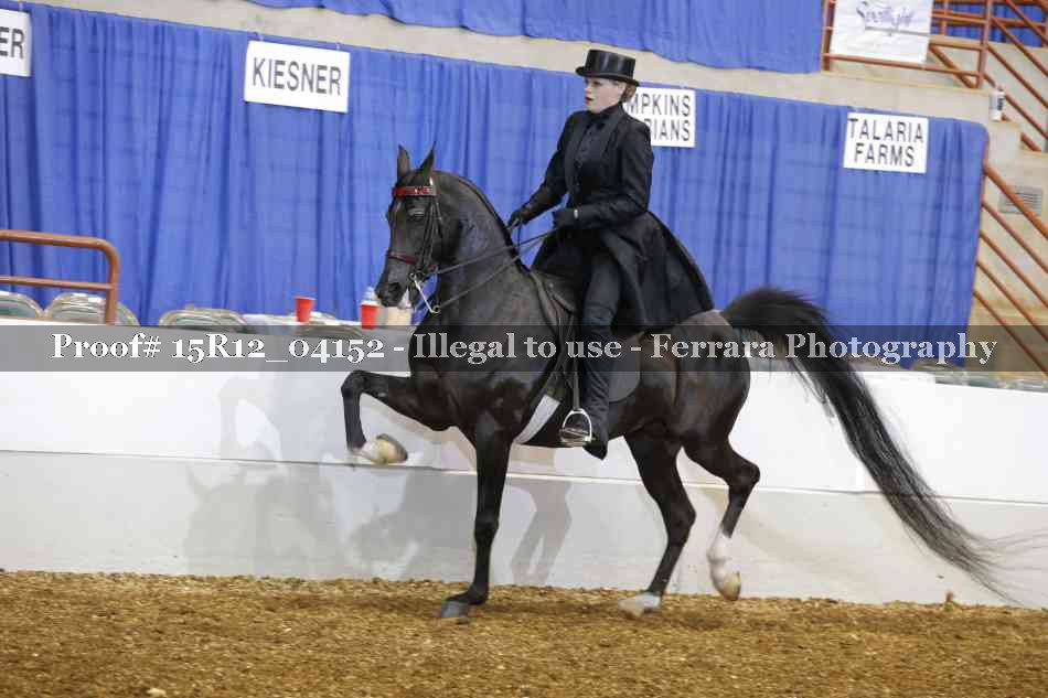 Proof 15R12_04152